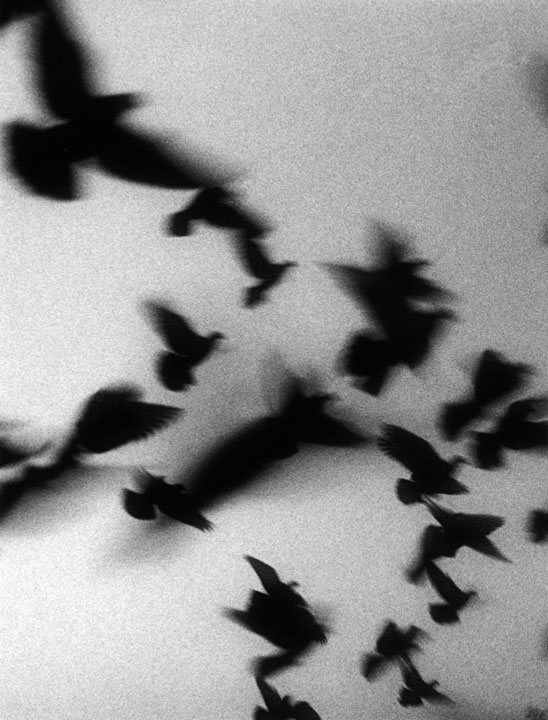 all rights reserved 2011